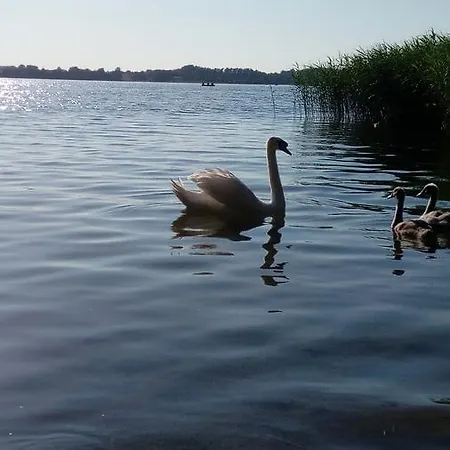 Lantgård Siedlisko Arkady W Wilamowie Wilamowo (Ostroda)