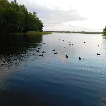 Siedlisko Arkady W Wilamowie Lantgård Wilamowo (Ostroda)